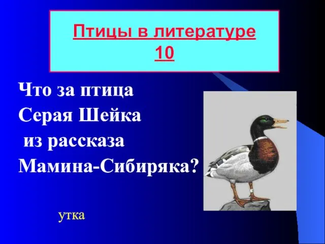 Что за птица Серая Шейка из рассказа Мамина-Сибиряка? Птицы в литературе 10 утка