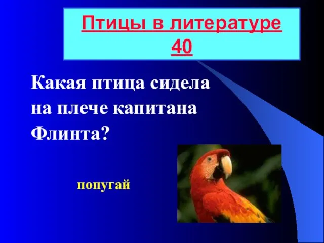 Какая птица сидела на плече капитана Флинта? Птицы в литературе 40 попугай