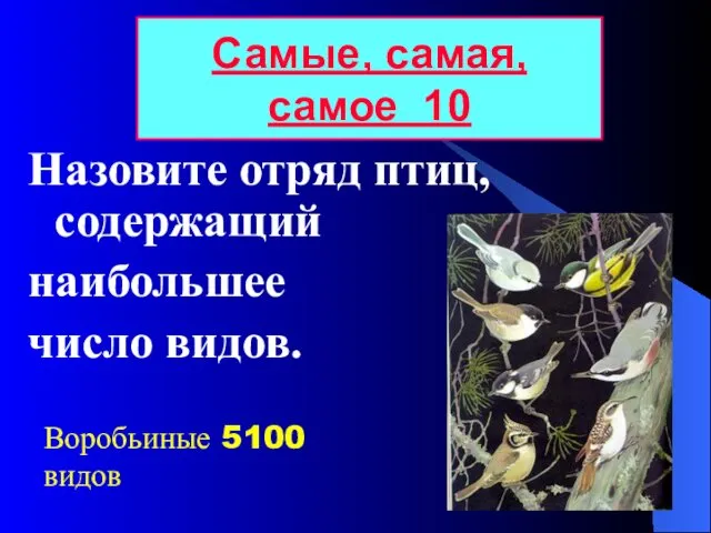 Назовите отряд птиц, содержащий наибольшее число видов. Самые, самая, самое 10 Воробьиные 5100 видов