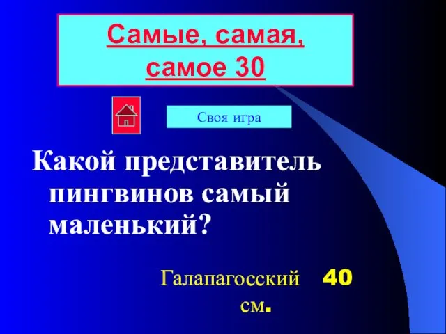 Какой представитель пингвинов самый маленький? Самые, самая, самое 30 Галапагосский 40 см. Своя игра