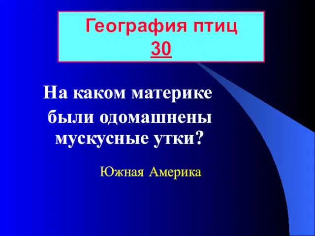 На каком материке были одомашнены мускусные утки? География птиц 30 Южная Америка