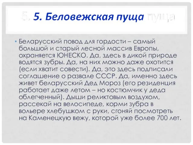 Беларусский повод для гордости – самый большой и старый лесной