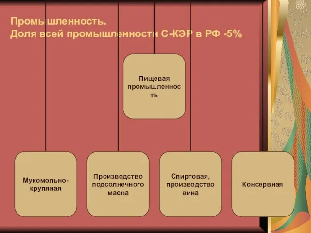 Промышленность. Доля всей промышленности С-КЭР в РФ -5%