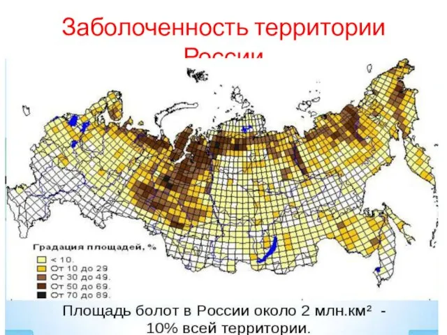 Заболоченность территории России