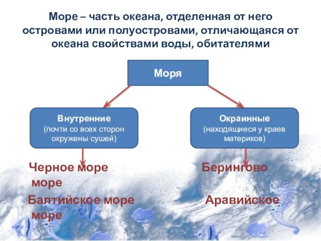 Море – часть океана, отделенная от него островами или полуостровами,