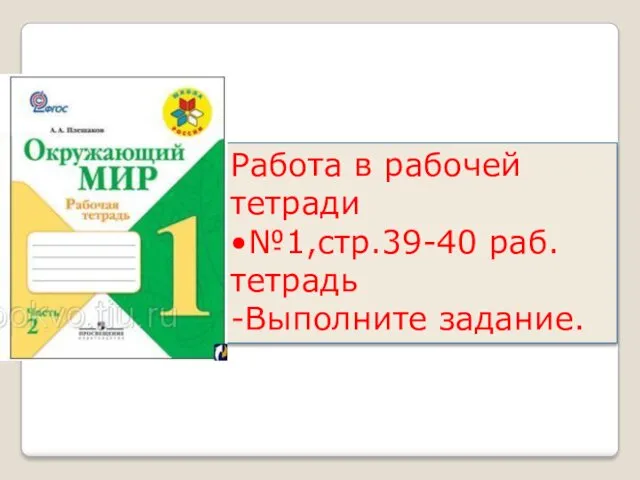 Работа в рабочей тетради •№1,стр.39-40 раб.тетрадь -Выполните задание.