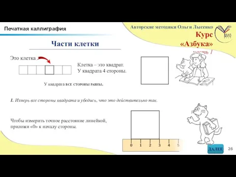 У квадрата все стороны равны. Клетка – это квадрат. У