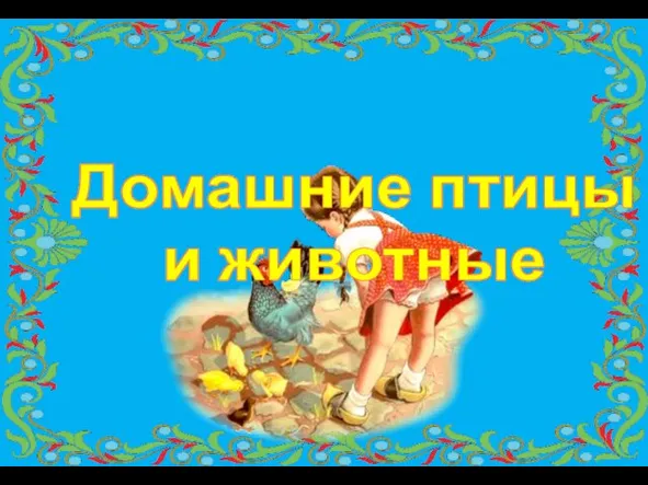 Домашние птицы и животные