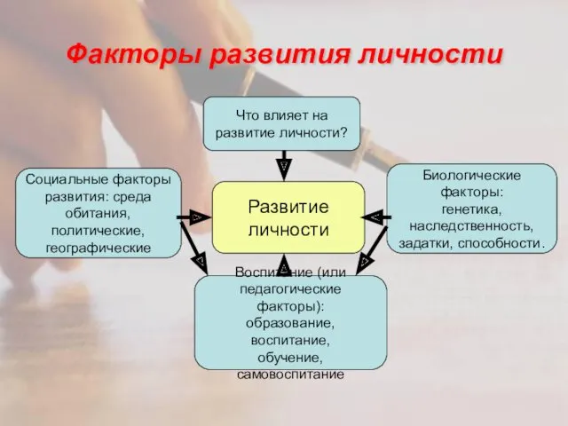 Факторы развития личности Социальные факторы развития: среда обитания, политические, географические