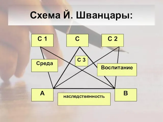 Схема Й. Шванцары: С 1 С 3 С С 2 А наследственность В Среда Воспитание