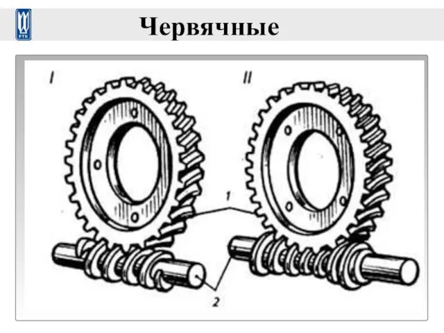 Червячные