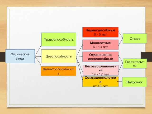 Физические лица Правоспособность Дееспособность Деликтоспособность Недееспособные 0 - 5 лет Малолетние 6 -