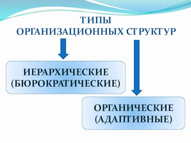 ТИПЫ ОРГАНИЗАЦИОННЫХ СТРУКТУР ИЕРАРХИЧЕСКИЕ (БЮРОКРАТИЧЕСКИЕ) ОРГАНИЧЕСКИЕ (АДАПТИВНЫЕ)