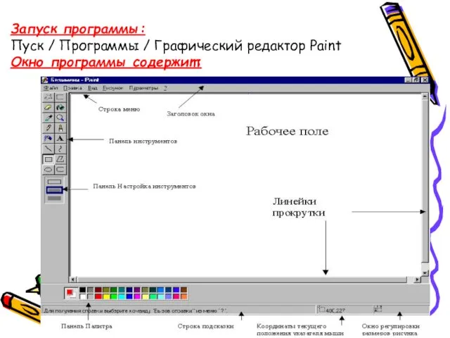 Запуск программы: Пуск / Программы / Графический редактор Pаint Окно программы содержит: