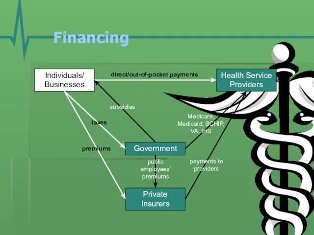 Financing Individuals/ Businesses Government Health Service Providers Private Insurers premiums