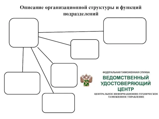 Описание организационной структуры и функций подразделений