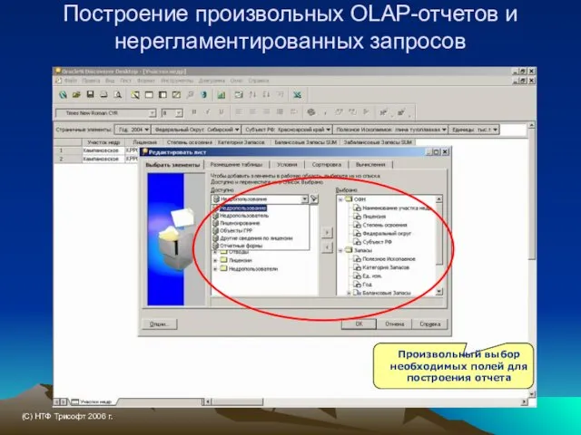 Построение произвольных OLAP-отчетов и нерегламентированных запросов Произвольный выбор необходимых полей