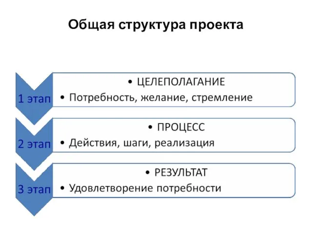 Общая структура проекта