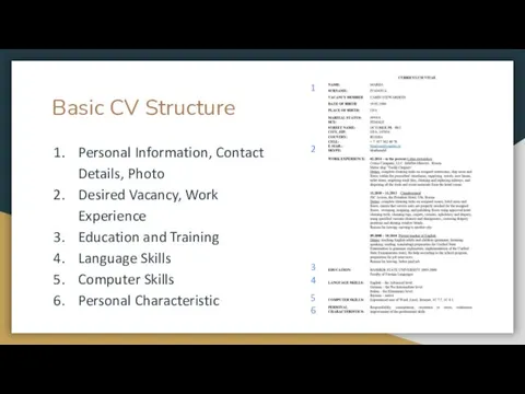 Basic CV Structure Personal Information, Contact Details, Photo Desired Vacancy,