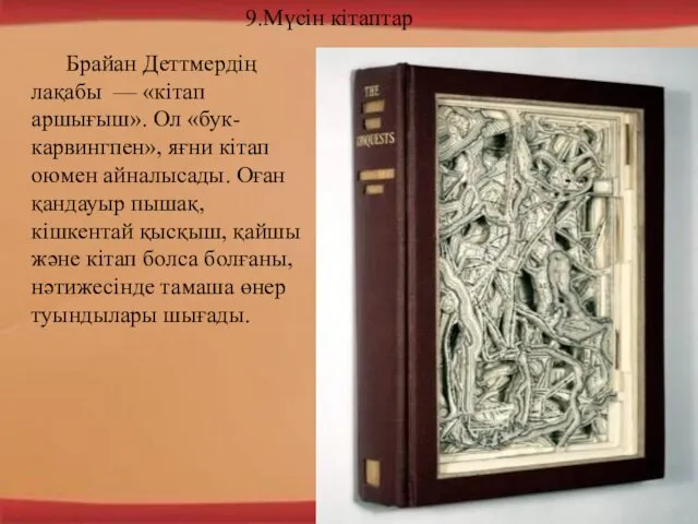 9.Мүсін кітаптар Брайан Деттмердің лақабы — «кітап аршығыш». Ол «бук-карвингпен»,