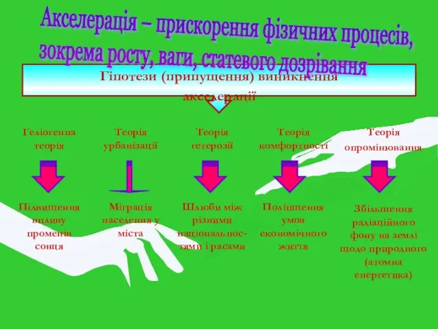 Гіпотези (припущення) виникнення акселерації Акселерація – прискорення фізичних процесів, зокрема росту, ваги, статевого дозрівання