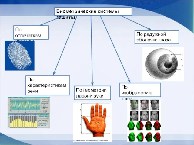 Биометрические системы защиты По отпечаткам пальцев По характеристикам речи По