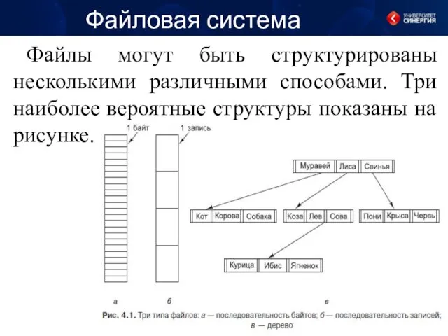 Файловая система Файлы могут быть структурированы несколькими различными способами. Три наиболее вероятные структуры показаны на рисунке.