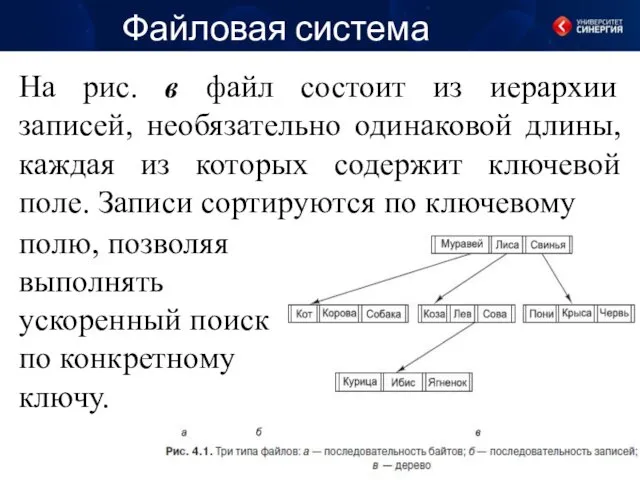 Файловая система На рис. в файл состоит из иерархии записей,