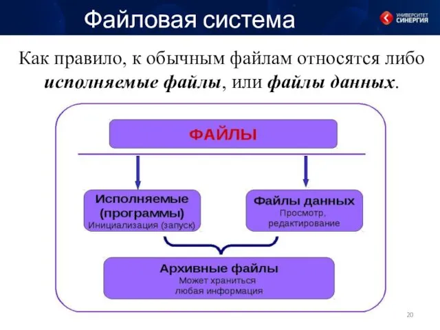 Файловая система Как правило, к обычным файлам относятся либо исполняемые файлы, или файлы данных.