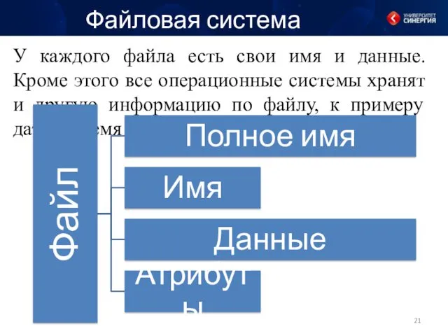 У каждого файла есть свои имя и данные. Кроме этого