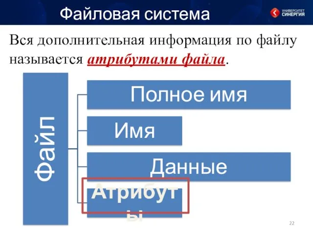 Вся дополнительная информация по файлу называется атрибутами файла. Файловая система