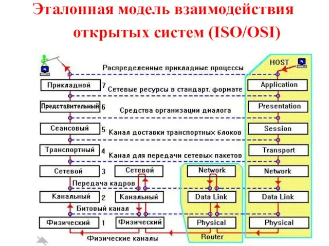 Эталонная модель взаимодействия открытых систем (ISO/OSI)