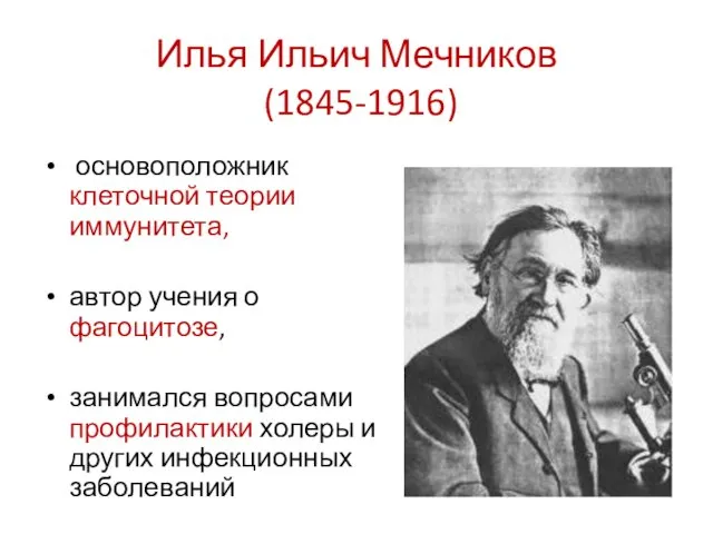 Илья Ильич Мечников (1845-1916) основоположник клеточной теории иммунитета, автор учения о фагоцитозе, занимался
