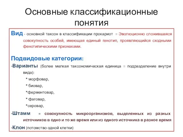 Основные классификационные понятия Вид - основной таксон в классификации прокариот