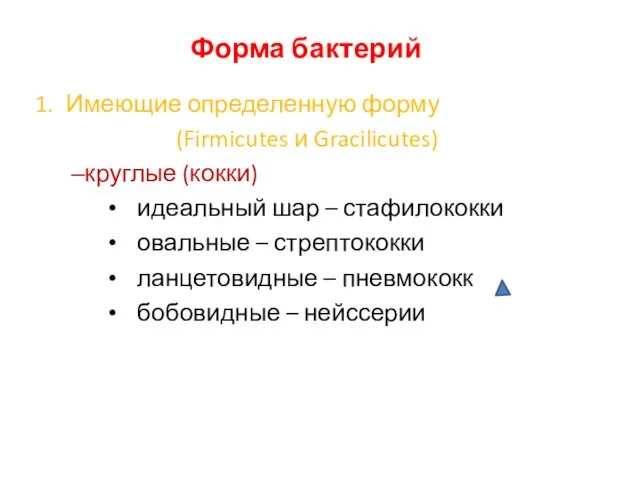 Форма бактерий Имеющие определенную форму (Firmicutes и Gracilicutes) круглые (кокки) идеальный шар –