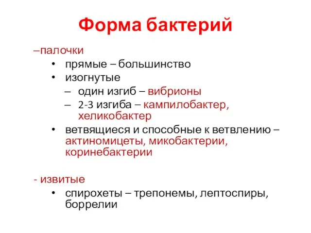 Форма бактерий палочки прямые – большинство изогнутые один изгиб – вибрионы 2-3 изгиба