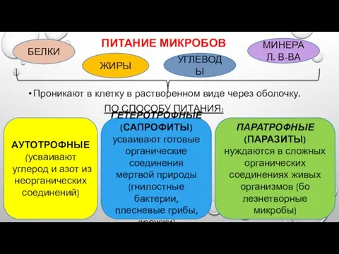 ПИТАНИЕ МИКРОБОВ Проникают в клетку в растворенном виде через оболочку.