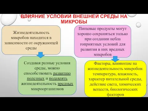 ВЛИЯНИЕ УСЛОВИЙ ВНЕШНЕЙ СРЕДЫ НА МИКРОБЫ Жизнедеятельность микробов находится в