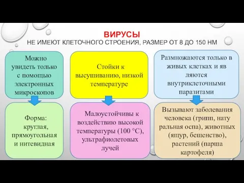 ВИРУСЫ НЕ ИМЕЮТ КЛЕТОЧНОГО СТРОЕНИЯ, РАЗ­МЕР ОТ 8 ДО 150