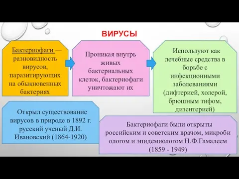 ВИРУСЫ Открыл существование вирусов в природе в 1892 г. русский