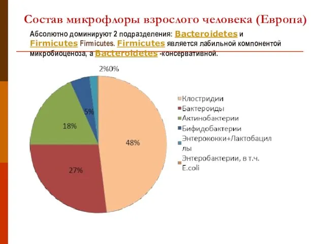 Состав микрофлоры взрослого человека (Европа) Абсолютно доминируют 2 подразделения: Bacteroidetes