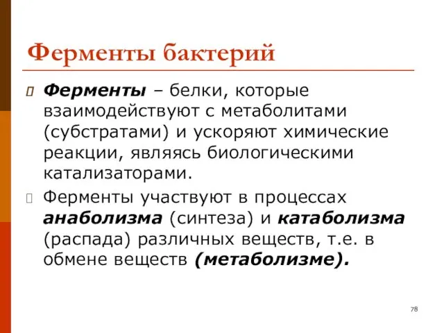 Ферменты бактерий Ферменты – белки, которые взаимодействуют с метаболитами (субстратами)