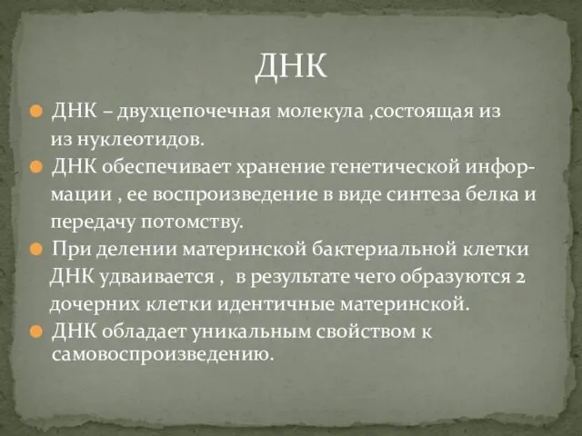 ДНК – двухцепочечная молекула ,состоящая из из нуклеотидов. ДНК обеспечивает хранение генетической инфор-