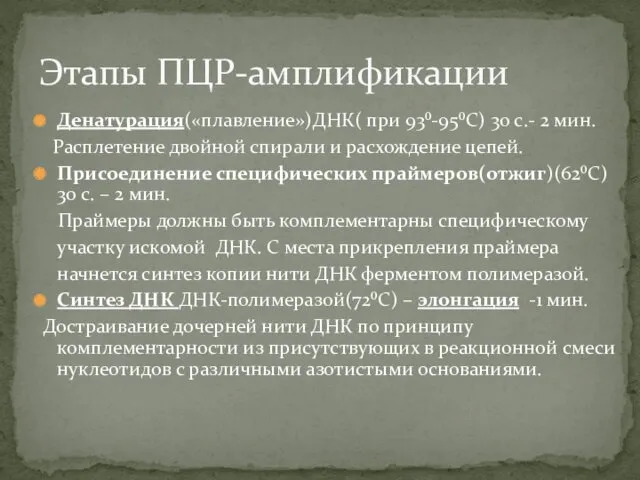 Денатурация(«плавление»)ДНК( при 93⁰-95⁰С) 30 с.- 2 мин. Расплетение двойной спирали и расхождение цепей.