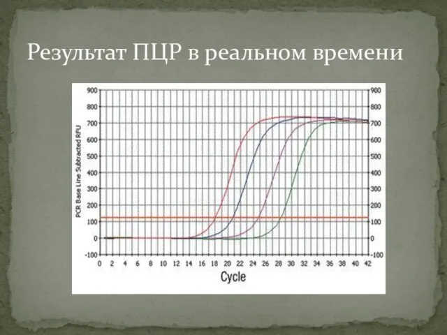 Результат ПЦР в реальном времени