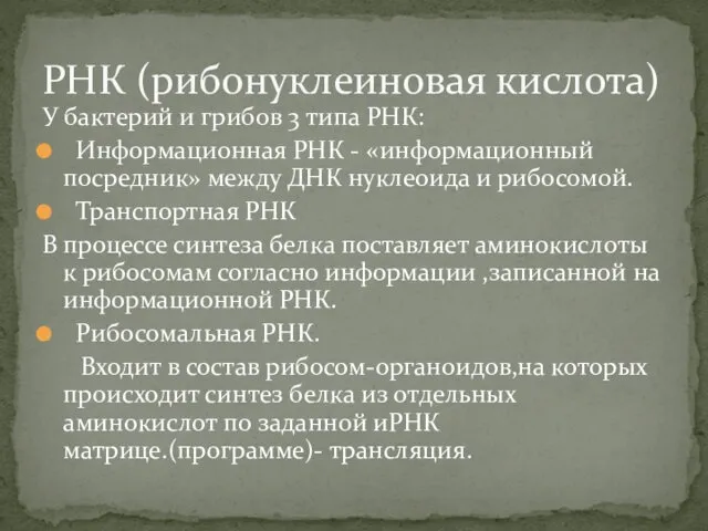 У бактерий и грибов 3 типа РНК: Информационная РНК - «информационный посредник» между