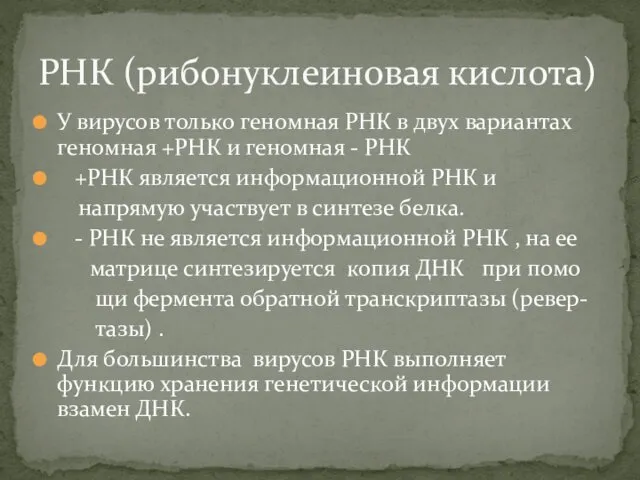 У вирусов только геномная РНК в двух вариантах геномная +РНК и геномная -