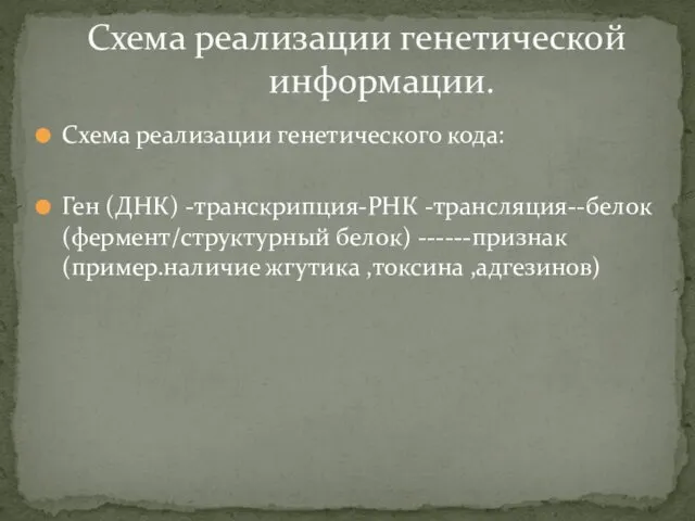 Схема реализации генетического кода: Ген (ДНК) -транскрипция-РНК -трансляция--белок (фермент/структурный белок)