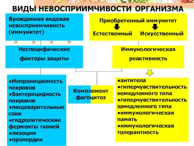 ВИДЫ НЕВОСПРИИМЧИВОСТИ ОРГАНИЗМА Иммунологическая реактивность Комплемент фагоцитоз Приобретенный иммунитет Естественный