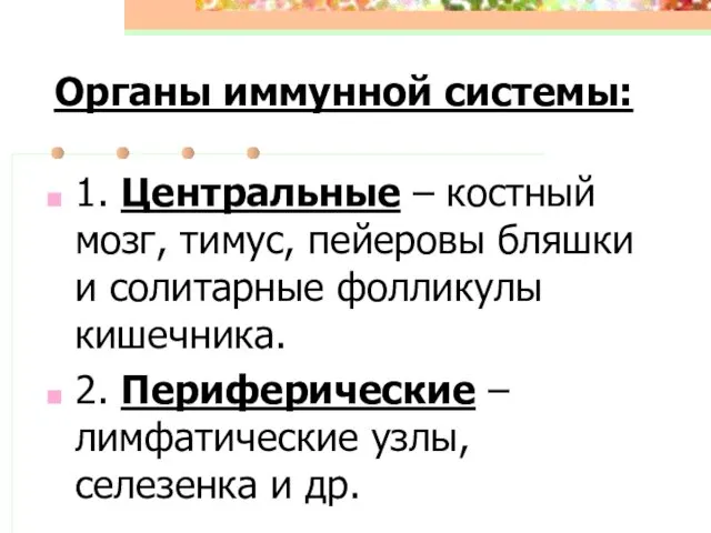 Органы иммунной системы: 1. Центральные – костный мозг, тимус, пейеровы бляшки и солитарные